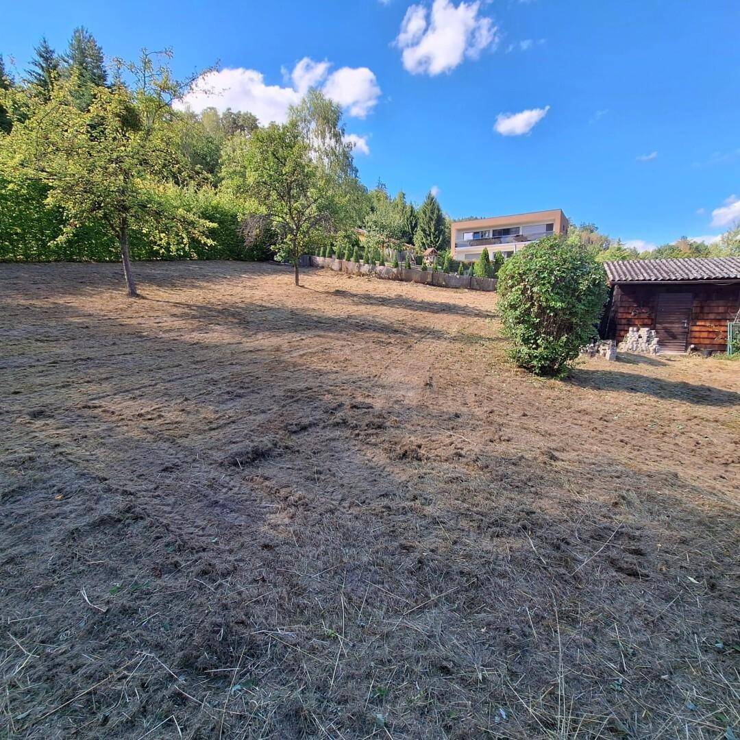 Naturnahe Lage und viel Platz Wohnung
