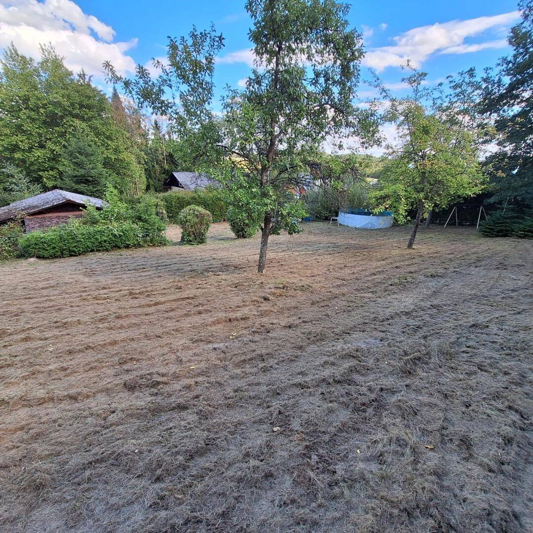 Naturnahe Lage und viel Platz Wohnung