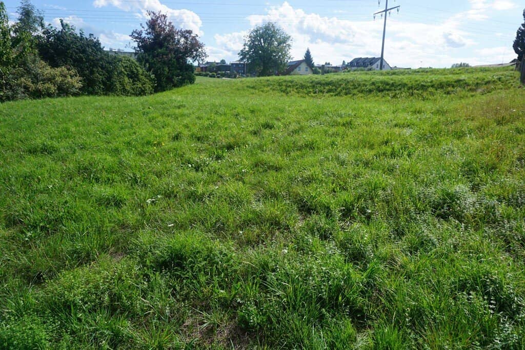 Building plot fully serviced no construction obligation