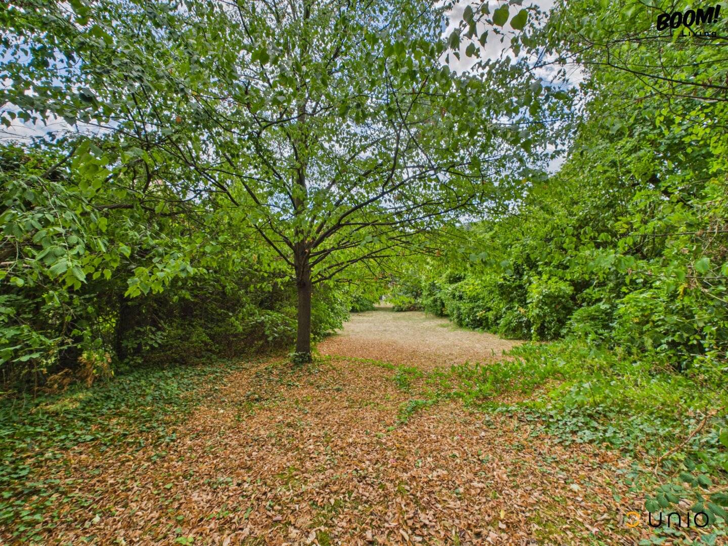 Dream location in Pötzleinsdorf – villa plot at the Schlosspark with development potential