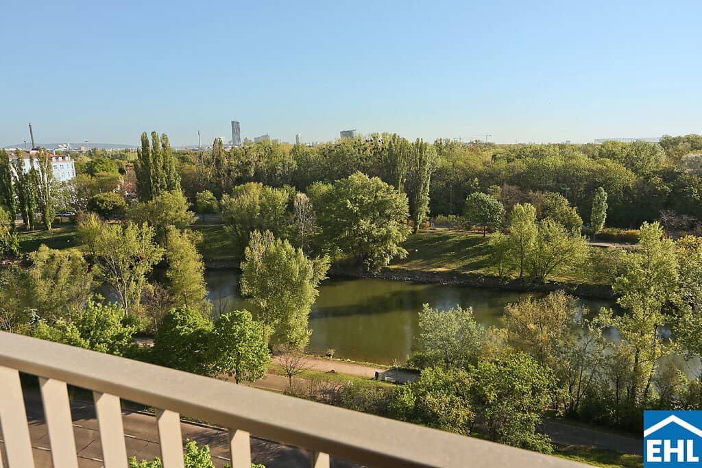 3-room dream with terrace