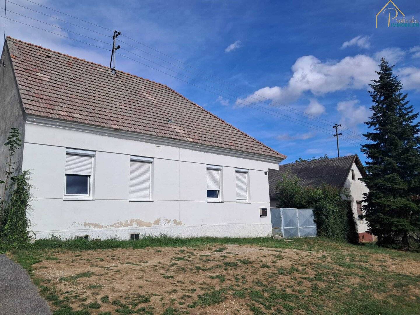 Streckhof with potential in the idyllic Mittelburgenland