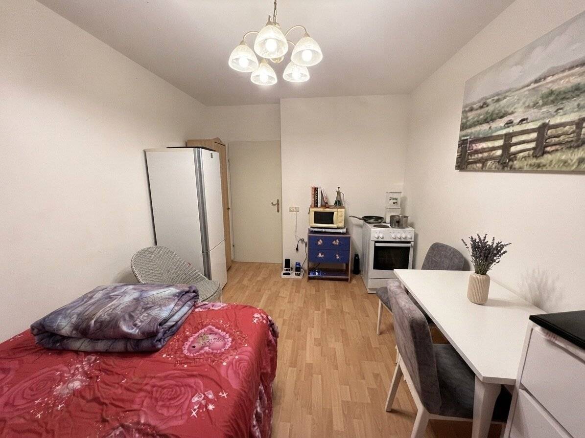 FIXPREIS – Leistbare 1-Zimmer-Wohnung im Erdgeschoss in Wels.