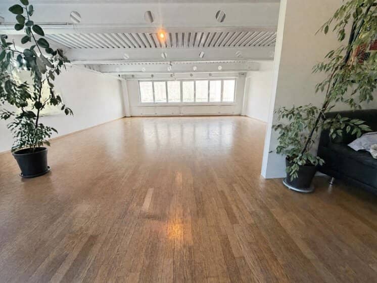 Bright Air-conditioned Office Space with Distant View in Rankweil - Parking Included