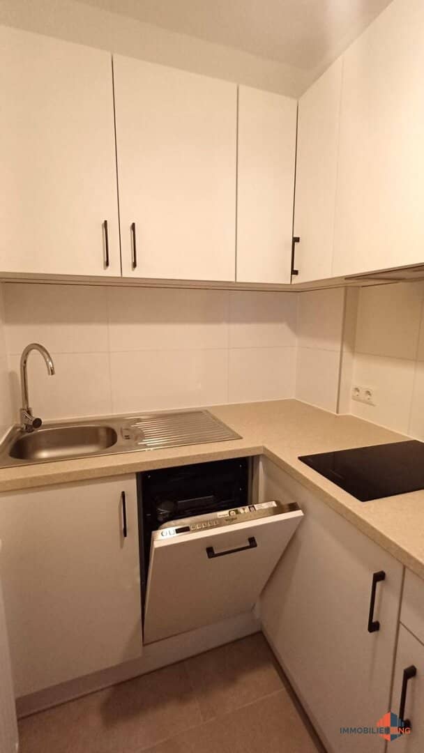 Open-ended rental studio apartment Baden city centre