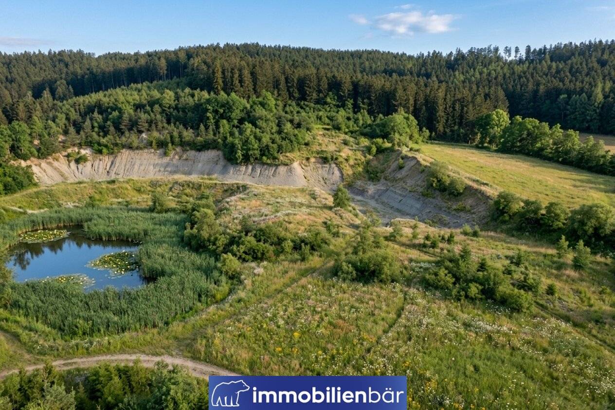 Nature area Eberschwang - approx. 3 ha forest with two ponds