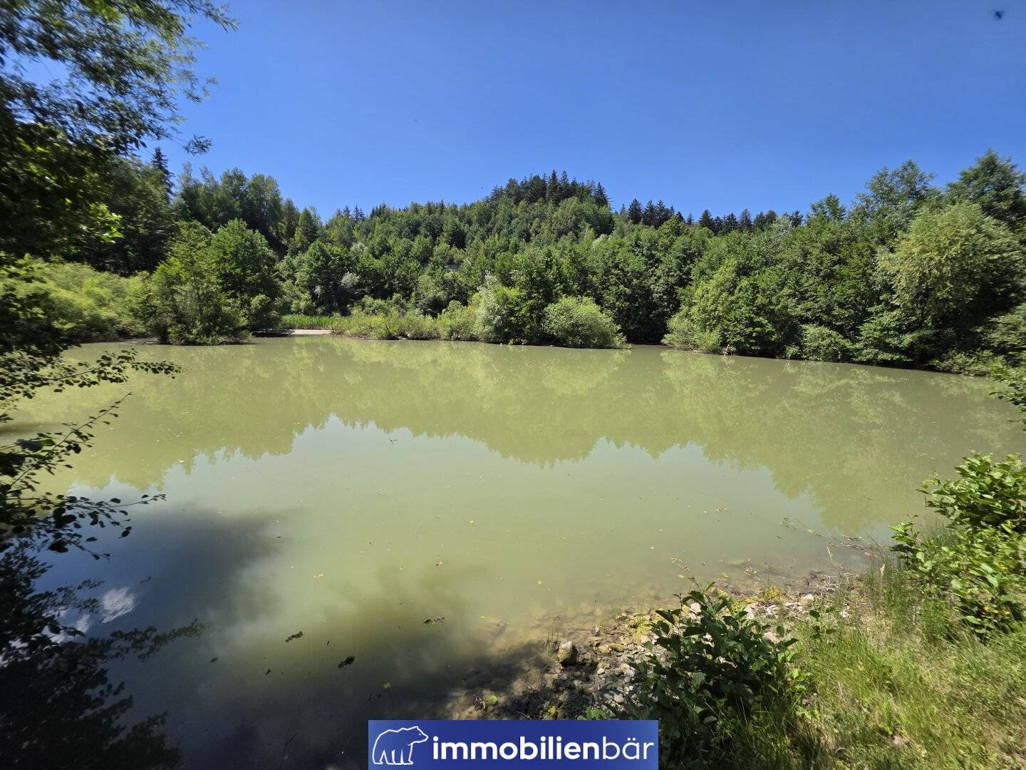 Nature area Eberschwang - approx. 3 ha forest with two ponds