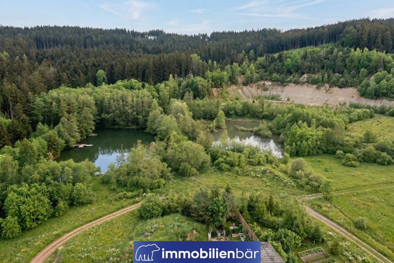 Nature area Eberschwang - approx. 3 ha forest with two ponds