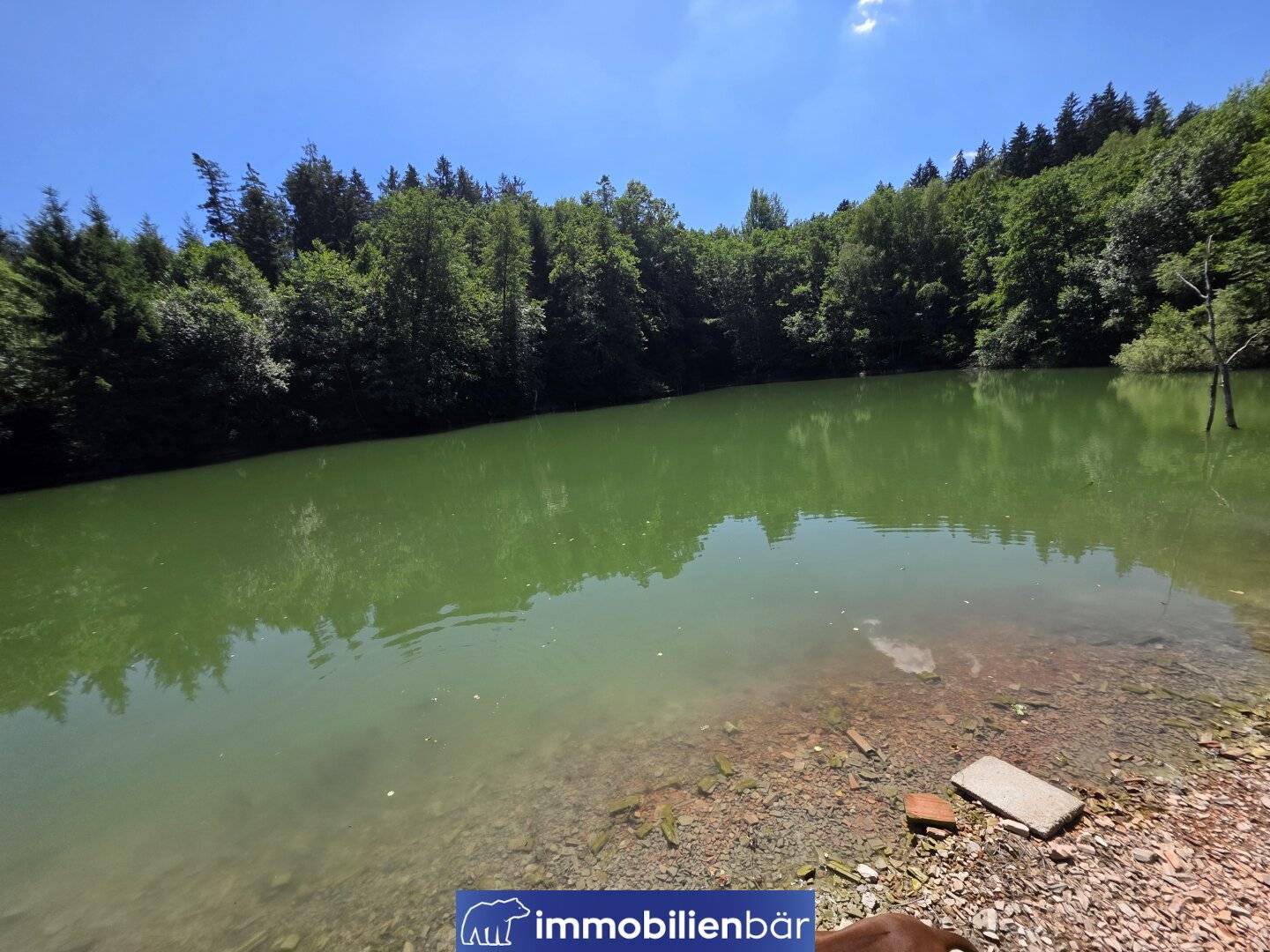 Nature area Eberschwang - approx. 3 ha forest with two ponds