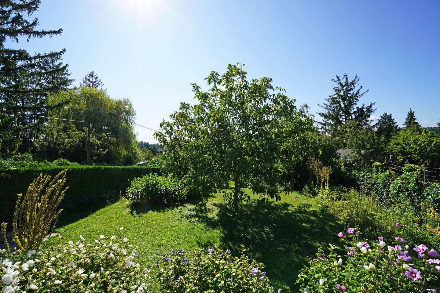 Hietzing: Allotment Garden House in Ownership - Ober St. Veit near the Lainzer Tiergarten