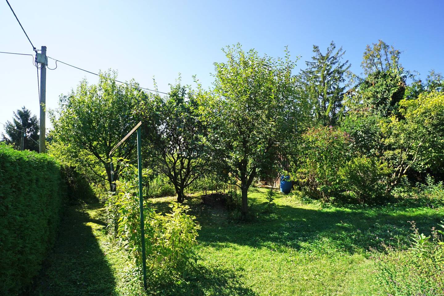 Allotment Garden Plot in Hietzing - Ober St. Veit near Lainzer Tiergarten