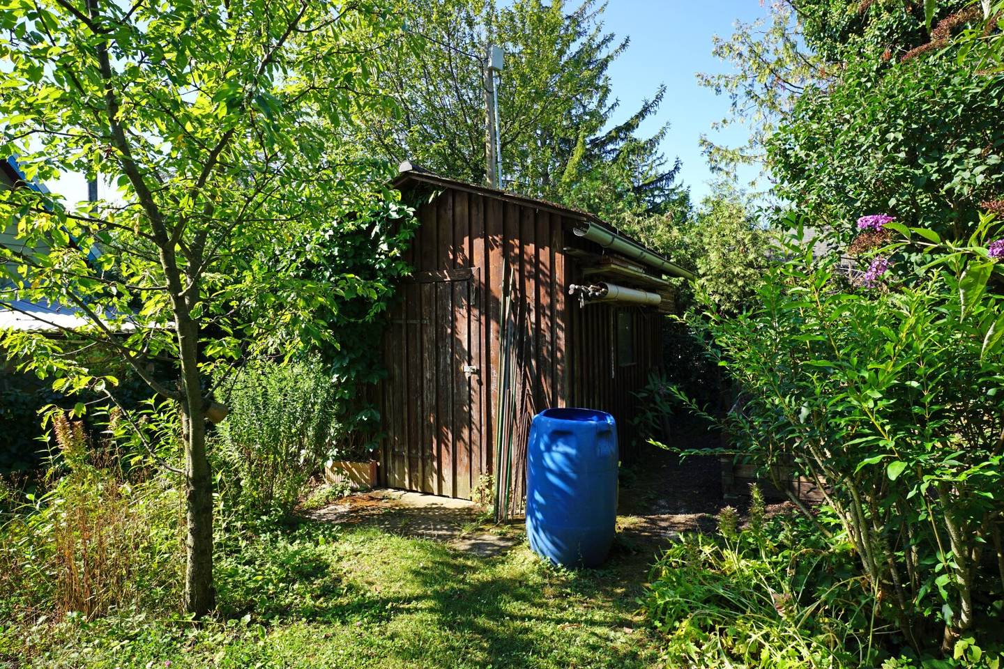 Allotment Garden Plot in Hietzing - Ober St. Veit near Lainzer Tiergarten