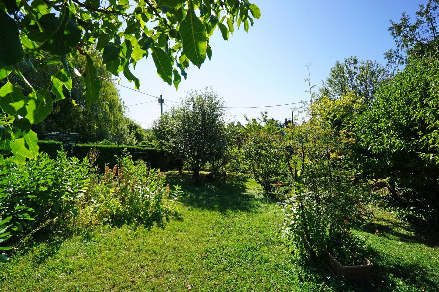 Allotment Garden Plot in Hietzing - Ober St. Veit near Lainzer Tiergarten