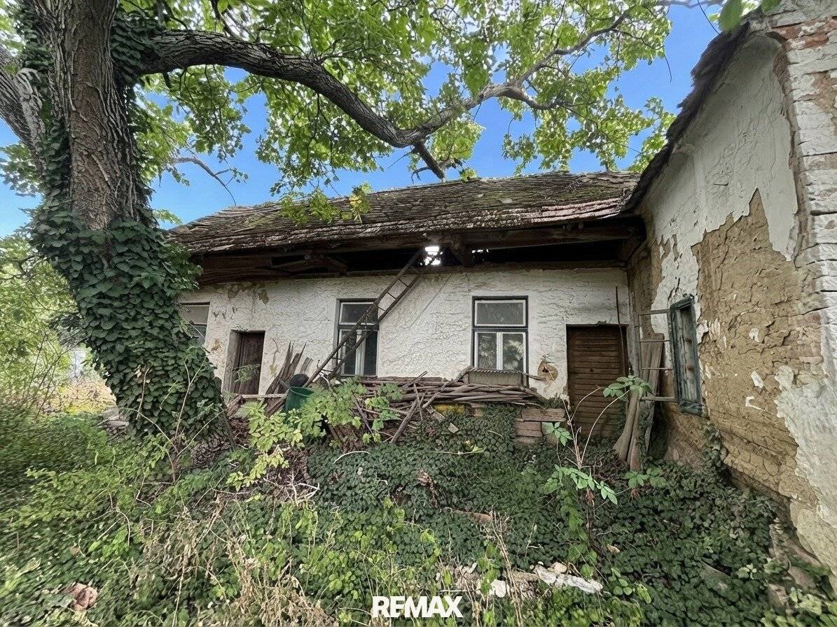 Large plot with demolition house, plenty of space for new ideas!