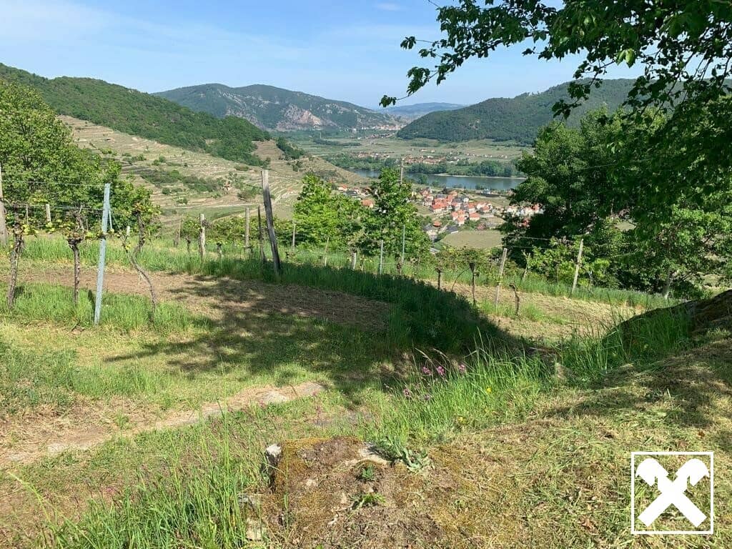 WEINGARTEN IN AUSSICHTSLAGE - WEINGARTEN, LANDWIRTSCHAFTLICHE FLÄCHEN - KEIN BAUGRUNDSTÜCK!