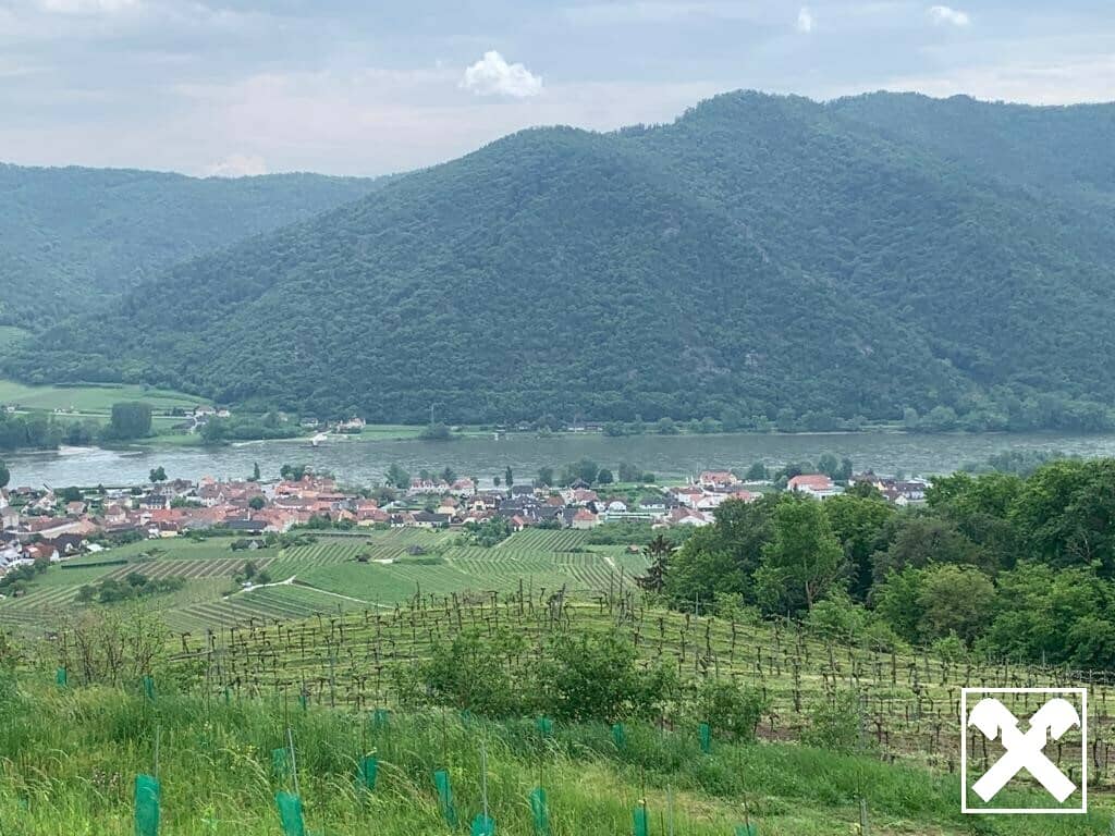 WEINGARTEN IN AUSSICHTSLAGE - WEINGARTEN, LANDWIRTSCHAFTLICHE FLÄCHEN - KEIN BAUGRUNDSTÜCK!