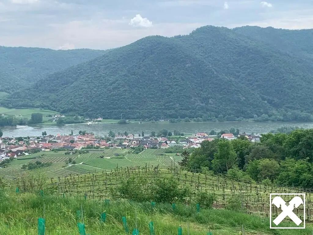 WEINGARTEN IN AUSSICHTSLAGE - WEINGARTEN, LANDWIRTSCHAFTLICHE FLÄCHEN - KEIN BAUGRUNDSTÜCK!