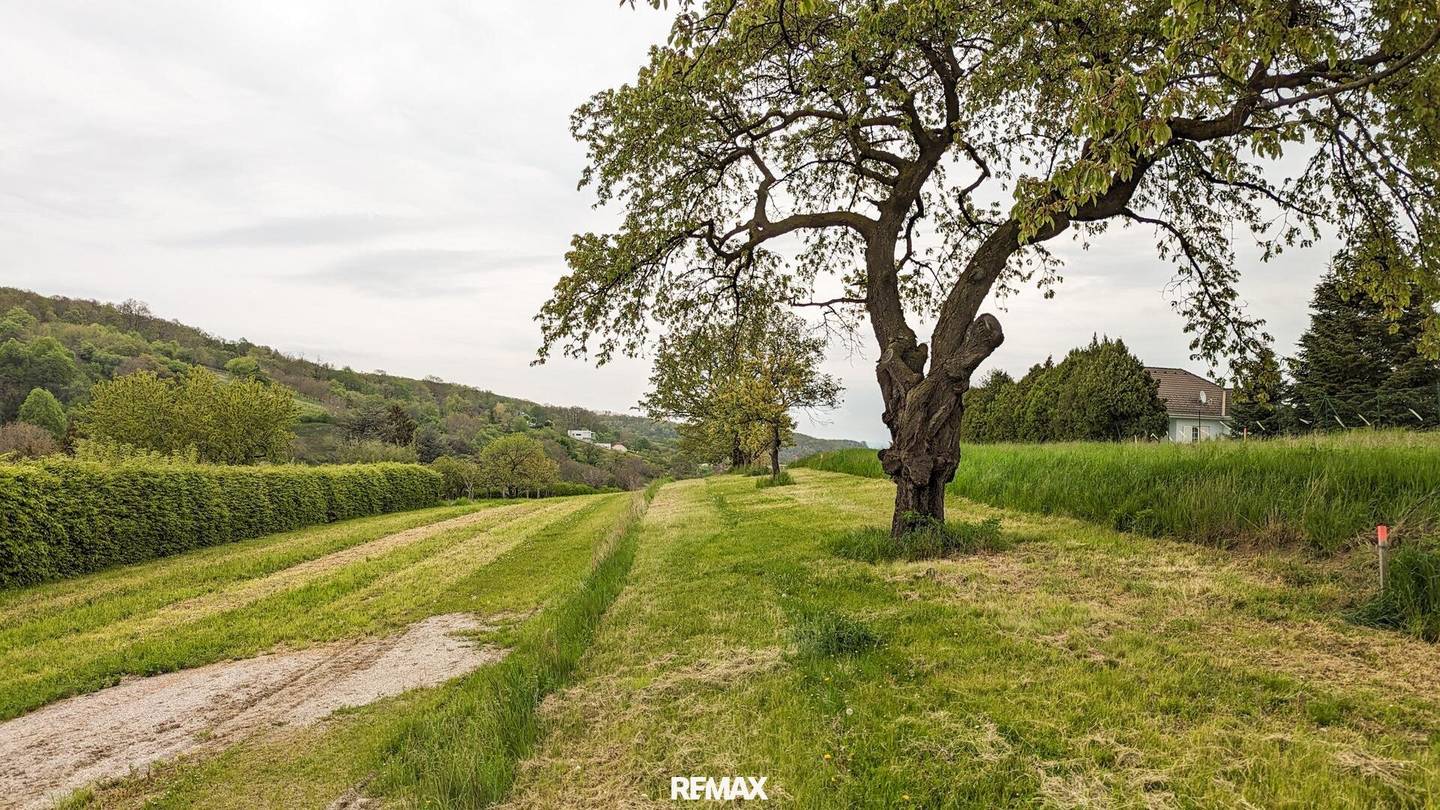 Great location near Wr. Neustadt