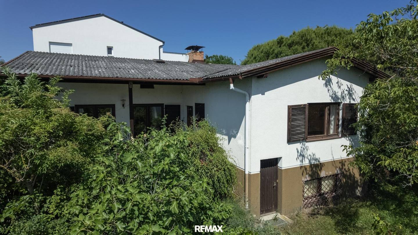 Haus