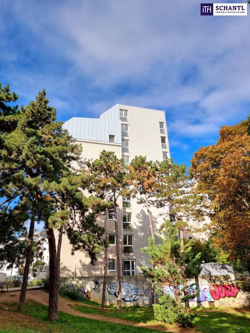 Cool 2-room apartment in a quiet location with excellent transport connections View now