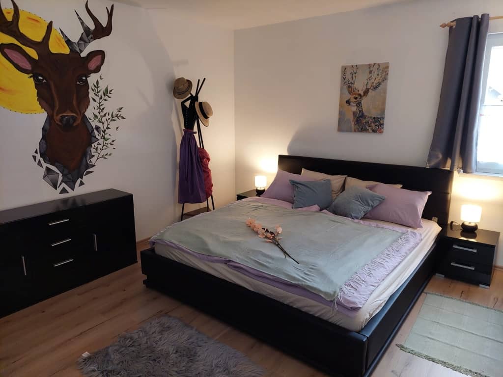 Freshly renovated apartment in quiet central location with conservatory