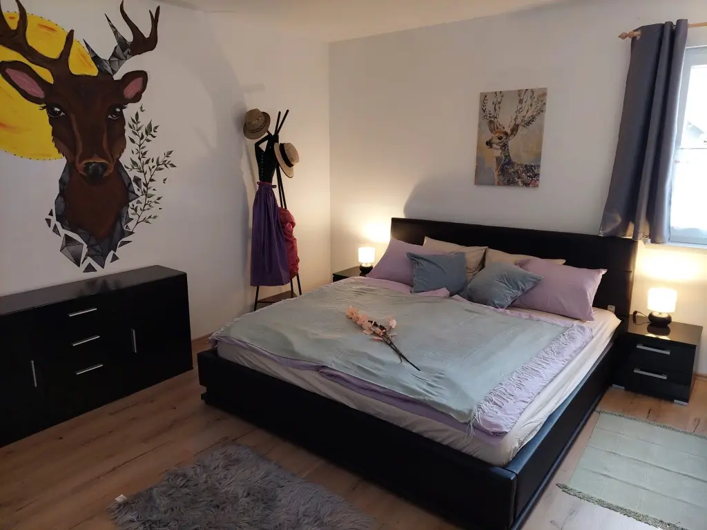 Freshly renovated apartment in quiet central location with conservatory