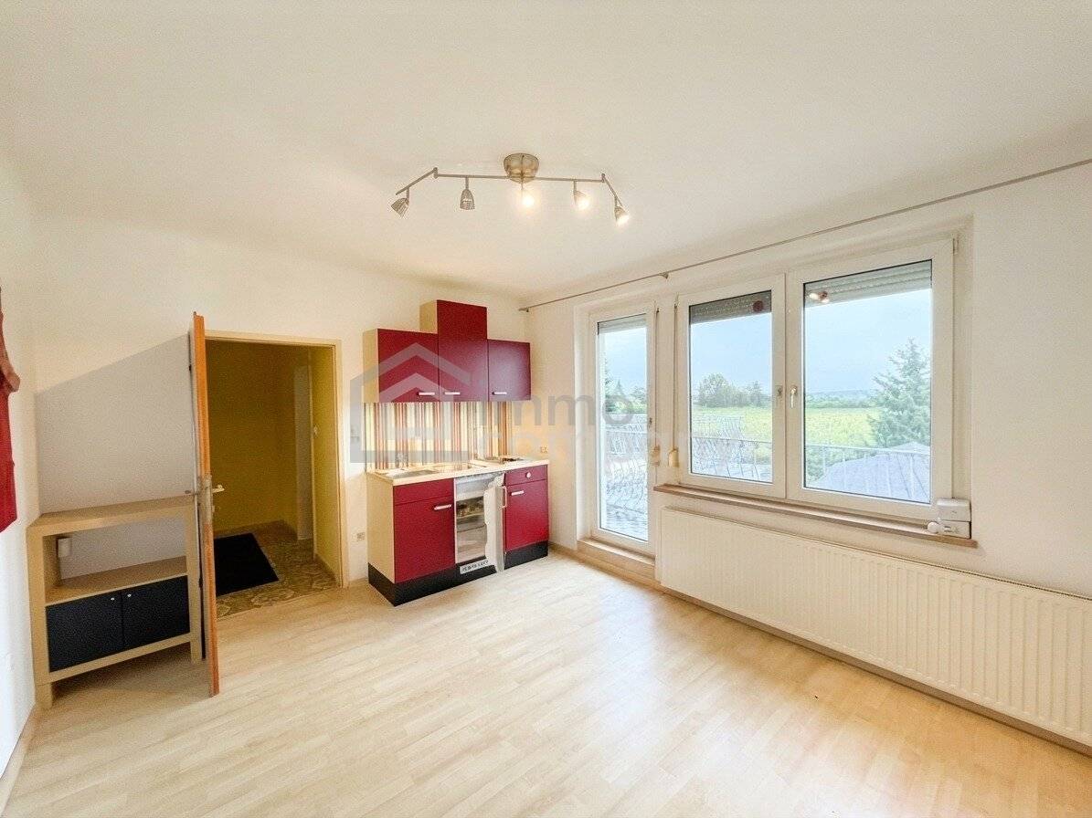 Großzügiges Mehrfamilienhaus mit Garten, Terrasse &amp; 3 Garagen in Marchegg um 620.000€