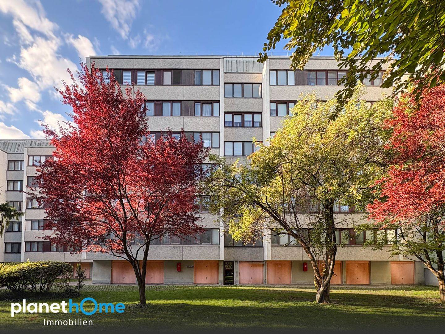 Bright apartment with green courtyard view and lift
