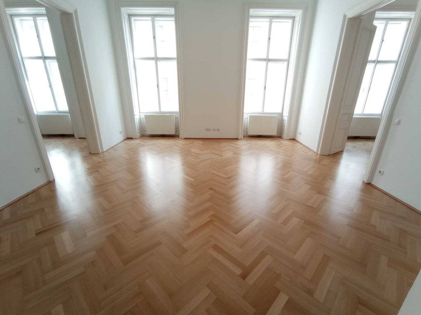 Work and Live Under One Roof ! Stylish Period Apartment (5 Rooms) in the Heart of Vienna District 1
