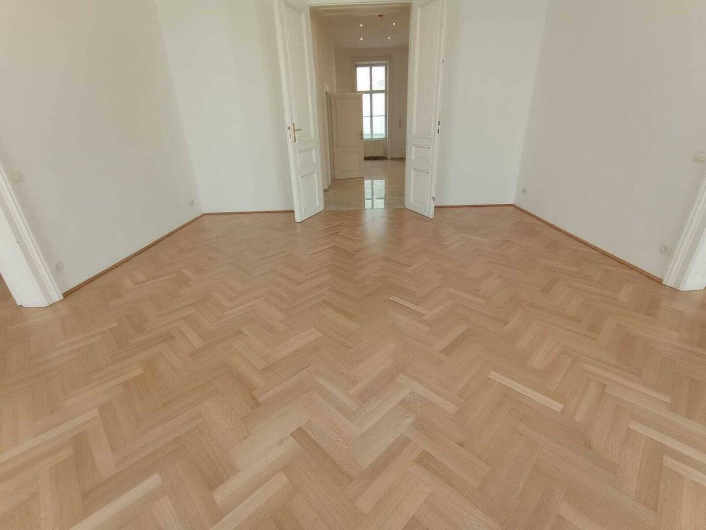 Work and Live Under One Roof ! Stylish Period Apartment (5 Rooms) in the Heart of Vienna District 1