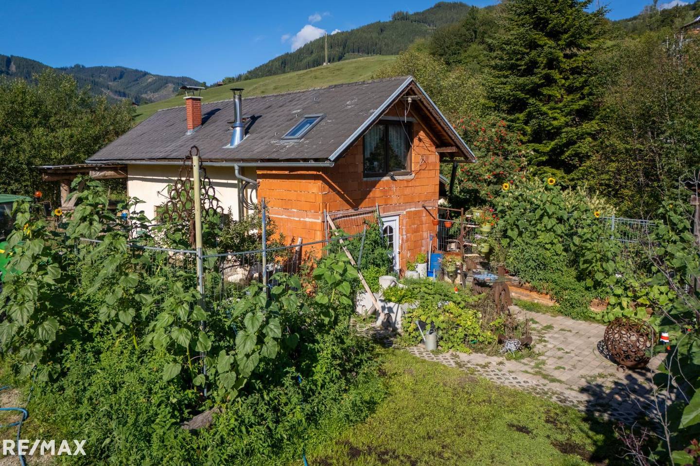 Apartment on farm with natural swimming pond and stables
