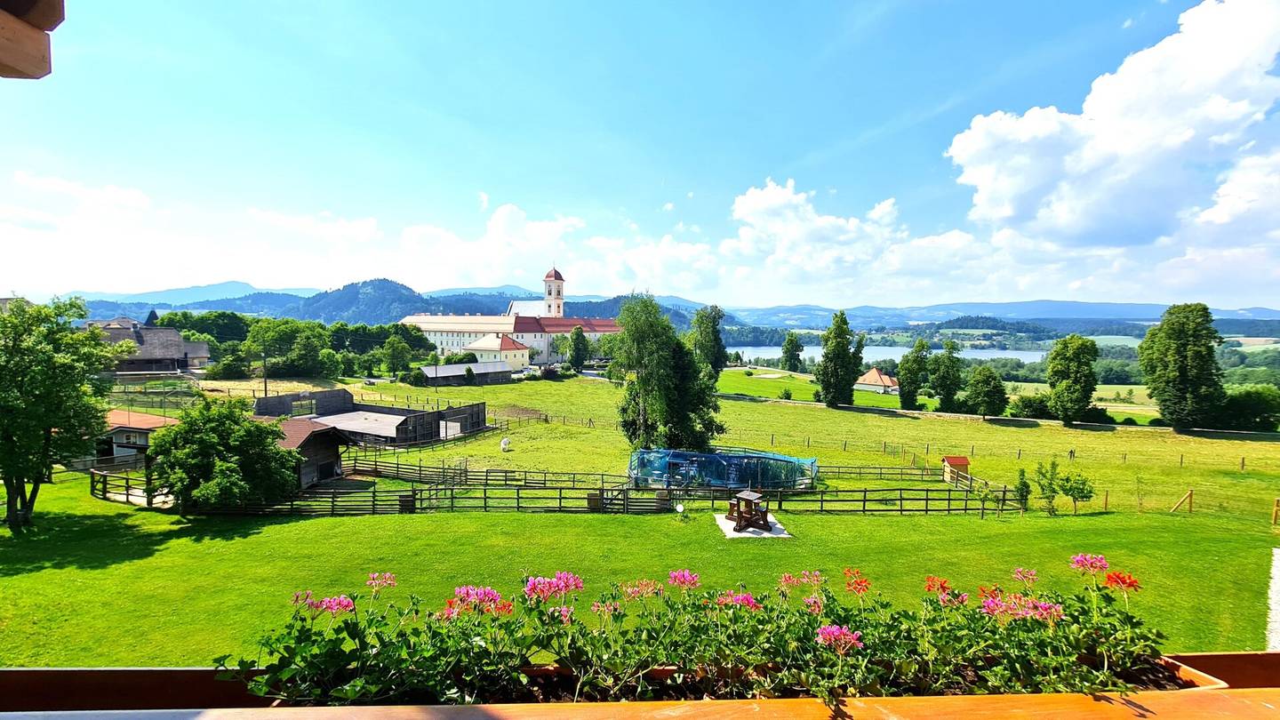 LÄNGSEE - FULLY FURNISHED LUXURY APARTMENT