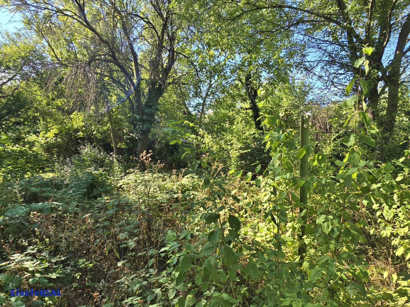 Plot with old house - quiet location – potential