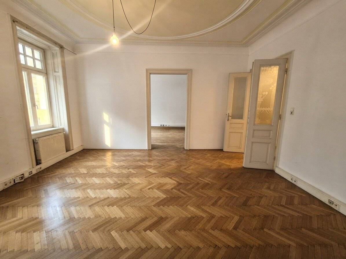 Before the gates of Schönbrunn ! Unrenovated/Partly renovated old building apartment opposite the Auer -Welsbach Park