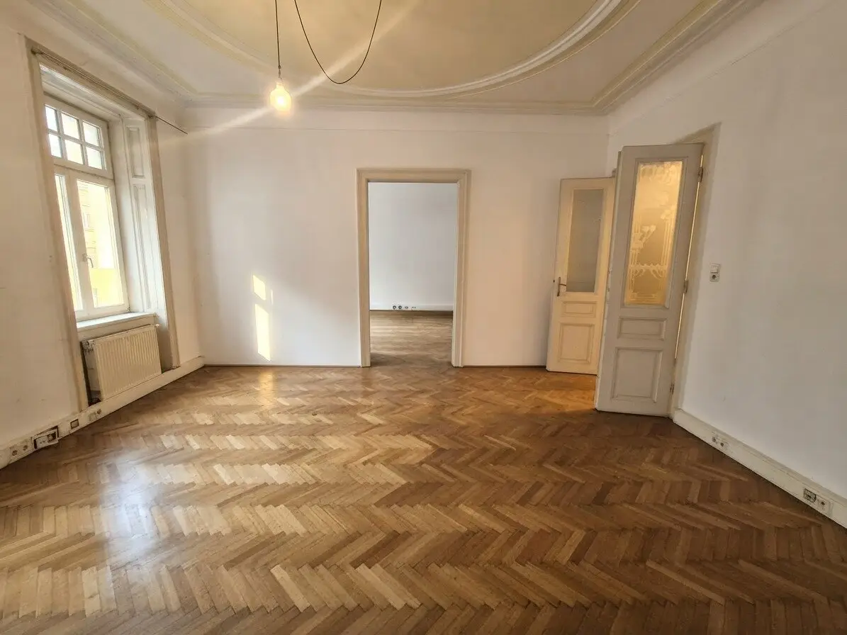 Before the gates of Schönbrunn ! Unrenovated/Partly renovated old building apartment opposite the Auer -Welsbach Park