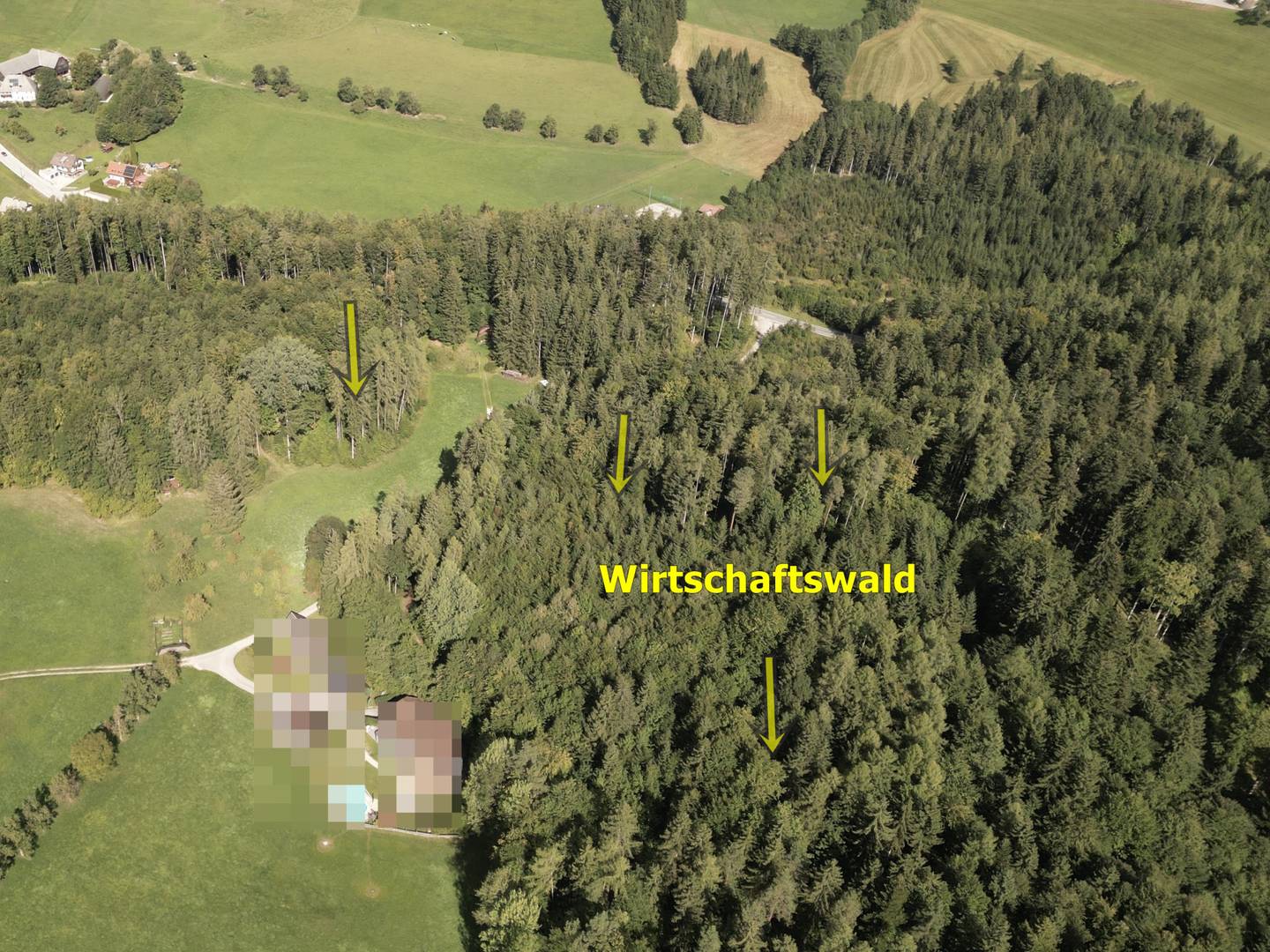 Natural retreat in mixed forest Ferienwohnung