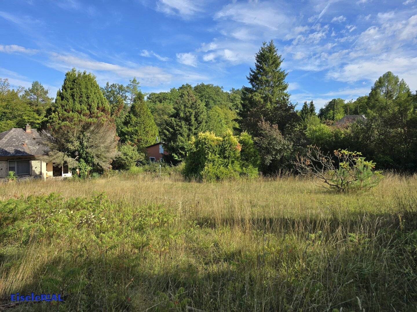 NATURE meets NATURE, Plot with old house, Sale from estate