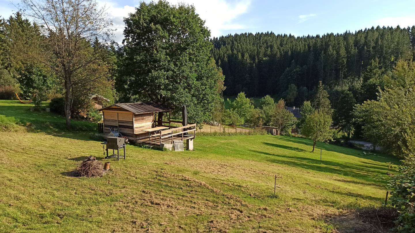 Sunny south orientation with unobstructed forest view apartment