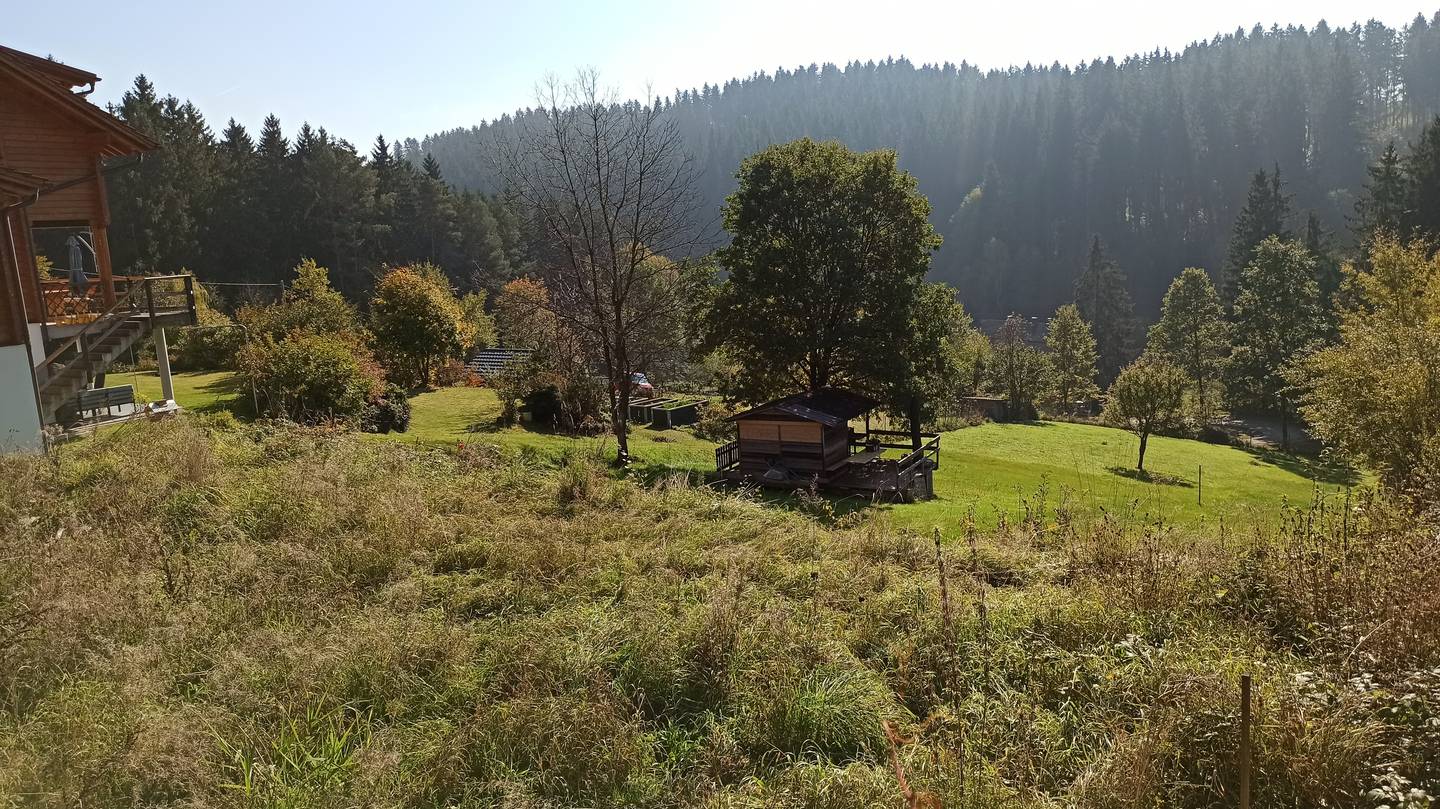 Sunny south orientation with unobstructed forest view apartment
