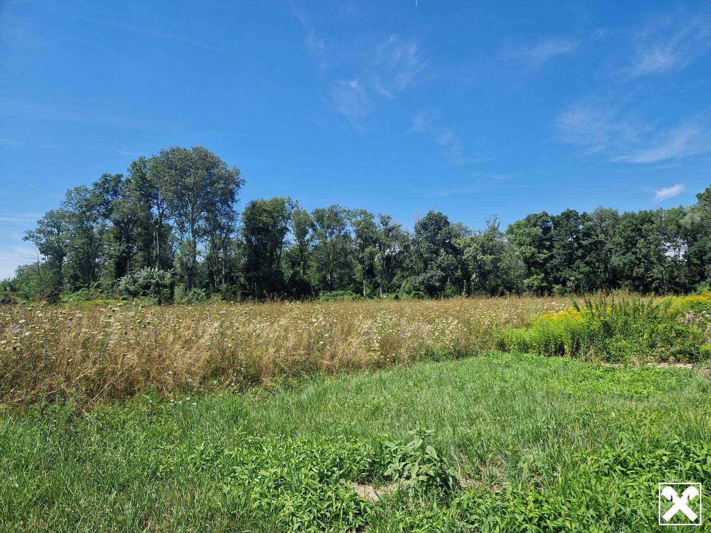 EINE SELTENE GELEGENHEIT IN DER MARKTGEMEINDE HAUSLEITEN - ZUSAMMENHÄNGENDE LANDWIRTSCHAFTLICHE FLÄCHE MIT EIGENEM BRUNNEN IN ZAINA