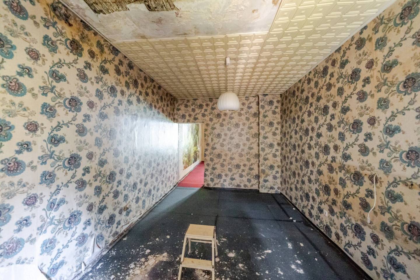 Entkernte Altbau-Perle mit 48,70m² am Kalvarienberggürtel – Ihr Projekt wartet!