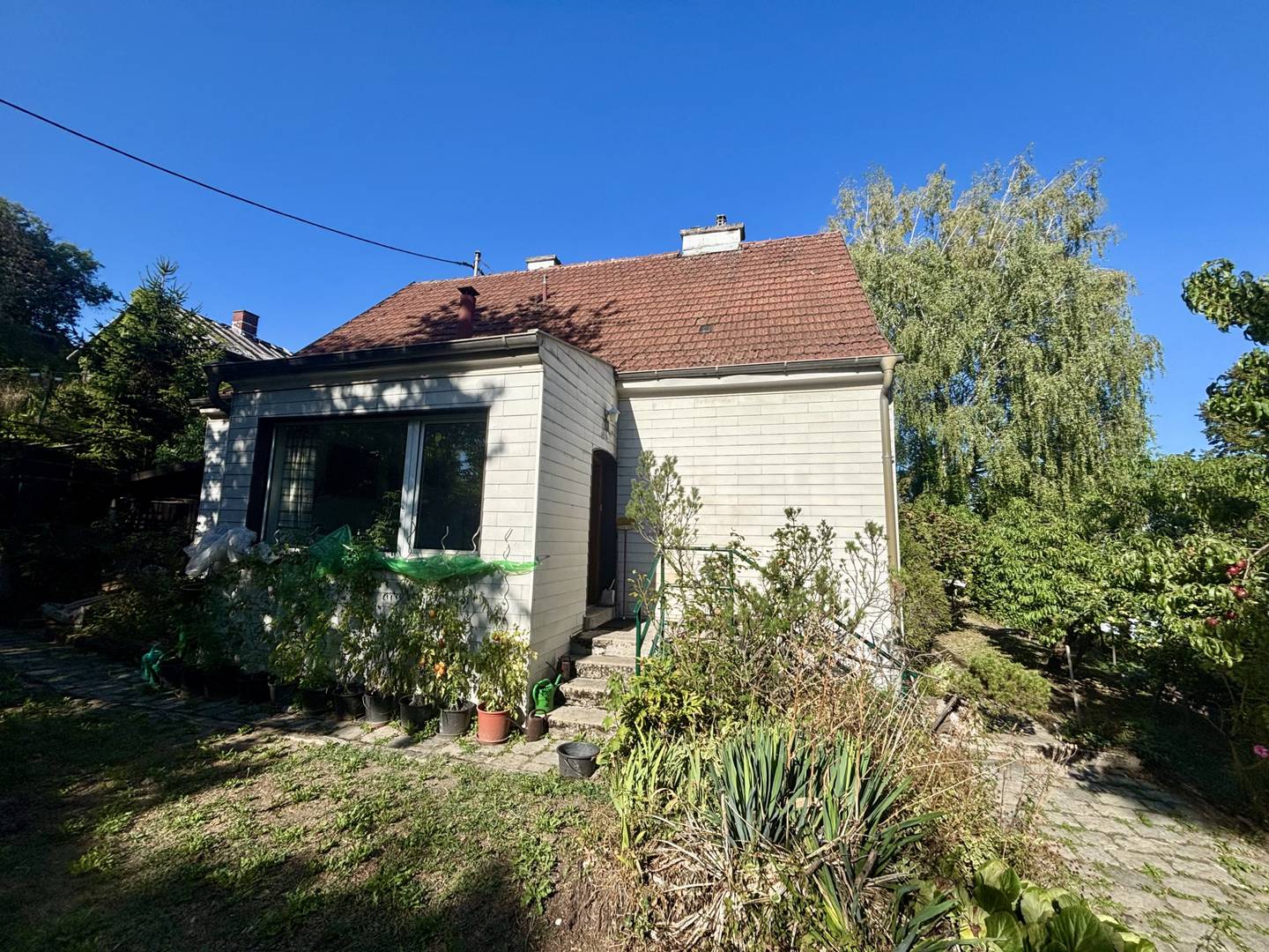 Renovation opportunity in green central location Wohnung