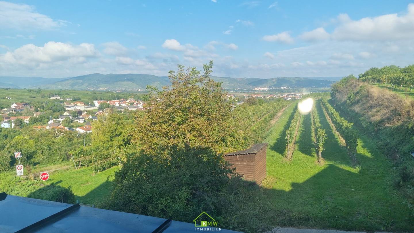 TOP VIEW LOCATION - spacious property with large garden and pool