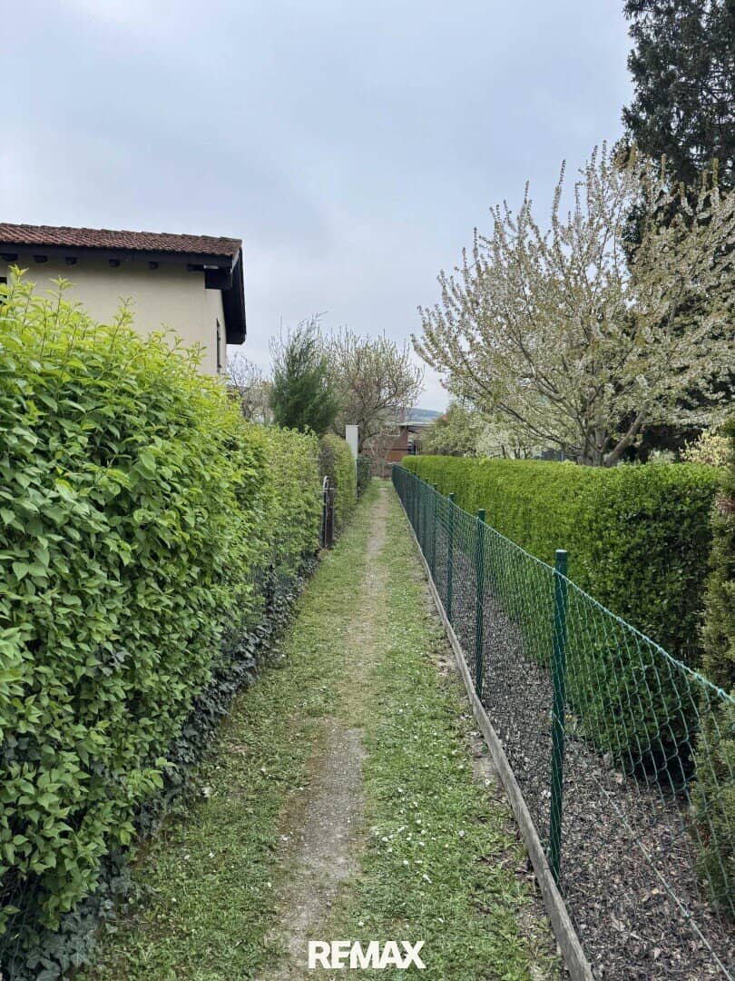 Allotment garden dream in Korneuburg