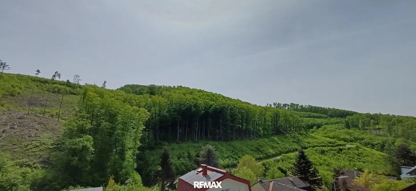 Where nature meets home - Your new house on the outskirts of Vienna