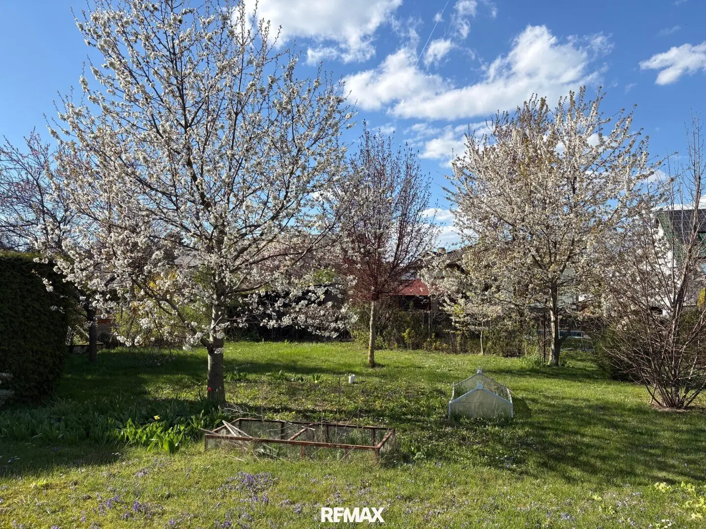 PRICE REDUCTION Family dream with orchard