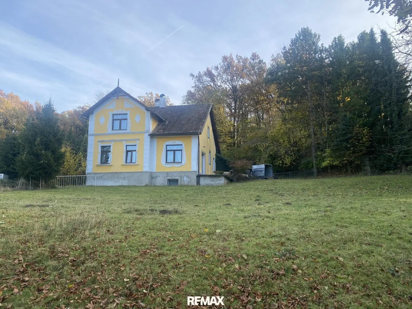Turn of the Century Style House with Forest