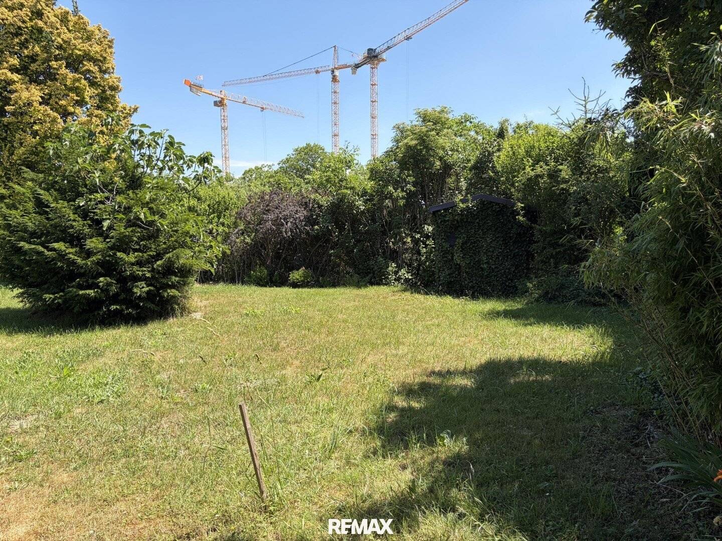 Unbuilt allotment garden plot directly on the upper Mühlwasser
