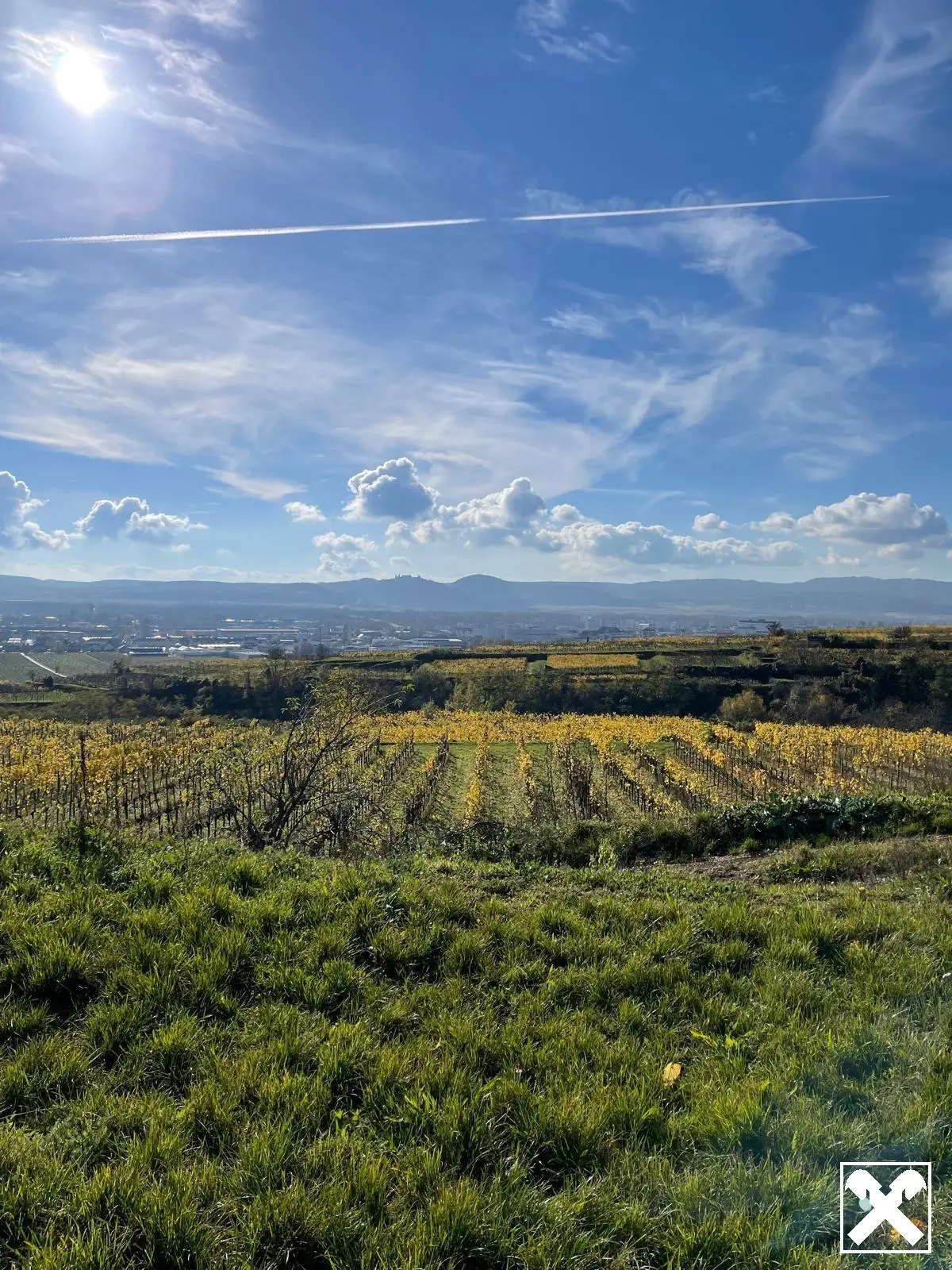 WEINGARTEN IN AUSSICHTSLAGE - WEINGARTEN, LANDWIRTSCHAFTLICHE FLÄCHEN - KEIN BAUGRUNDSTÜCK!