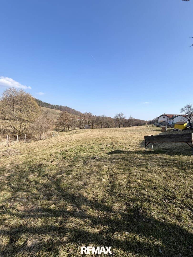 "Charmantes Einfamilienhaus mit Terrasse, Garage und zusätzlichem Grundstück"